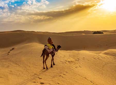 Rajasthan Desert Triangle Tour 05N / 06D