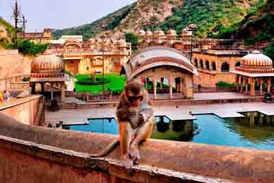 Exploring Jaipur: Top Tourist Attractions and Must-Do Activities B2B DMC