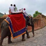 Hathi Gaon Elephant Village Jaipur