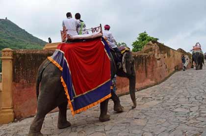 Hathi Gaon Elephant Village Jaipur